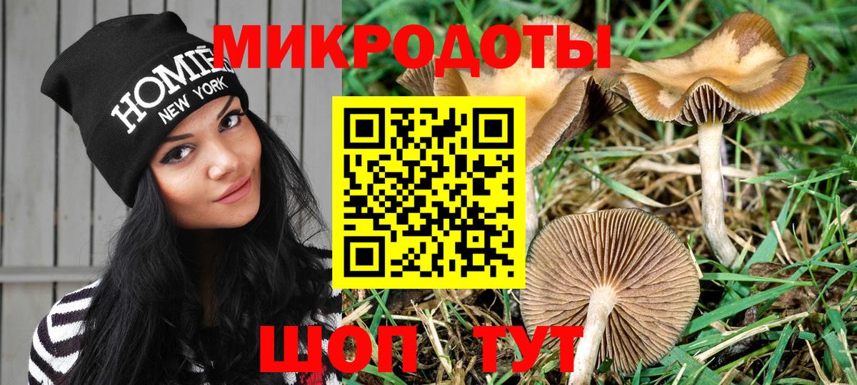 Галлюциногенные грибы ЛСД  Вход с VPN  Карасук  Галлюциногенные грибы Cubensis 