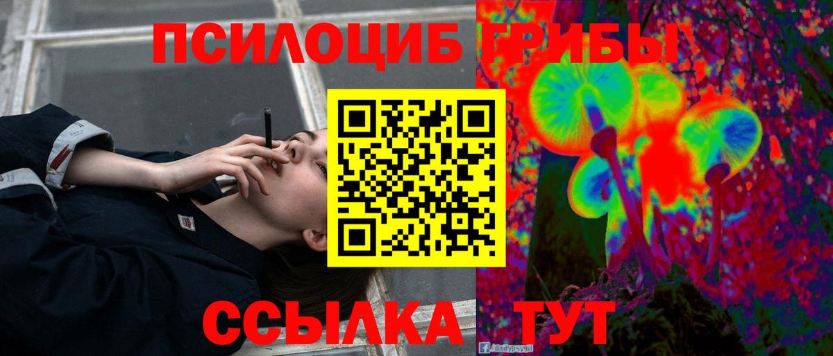 Галлюциногенные грибы Cubensis Карасук